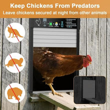 Automatic Chicken Coop Door Solar Powered, App Control Automatic Chicken Door with Timer & Light Sensor Mix 4-Modes, Solar Chicken Coop Door with Anti-Pinch Design